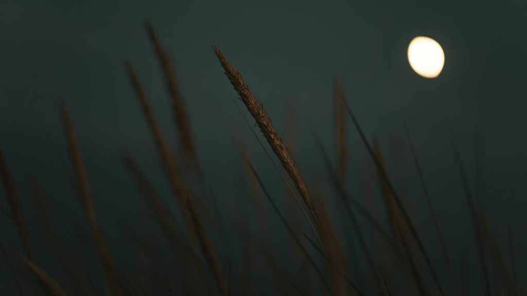 主日证道｜耶和华听见我们的哀声（下）